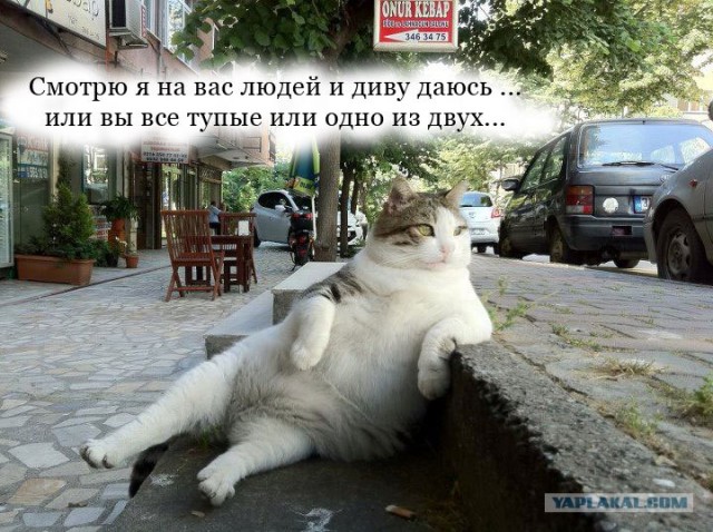 Таити... Таити...