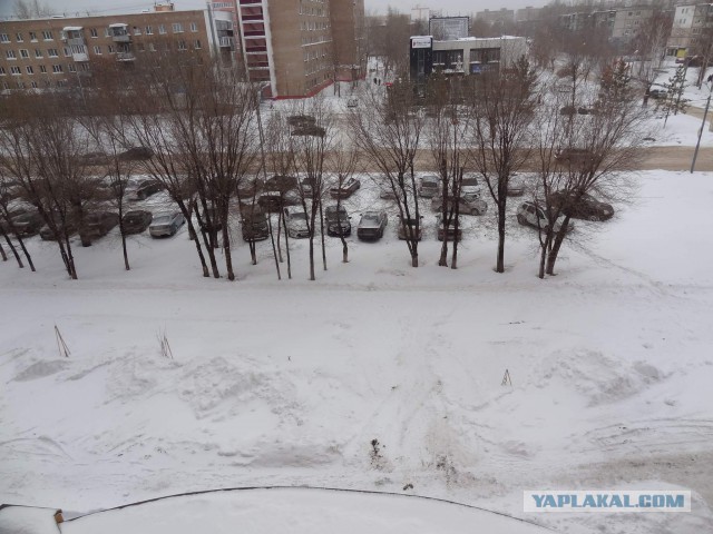 Север. Холодно. 2019