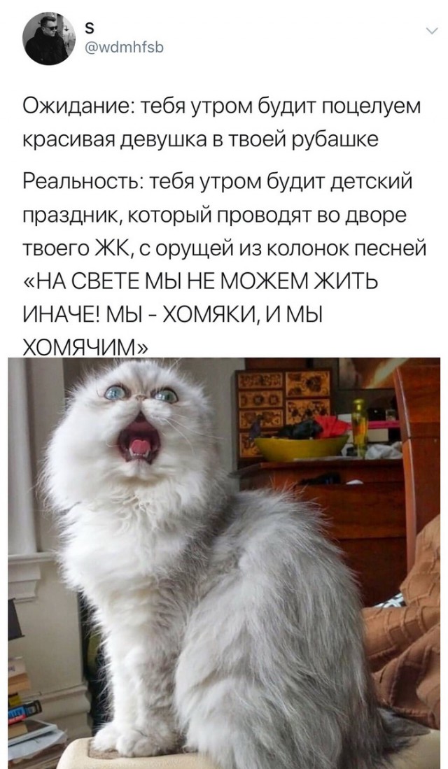Картинки с надписями, истории и анекдоты 03.09.19.