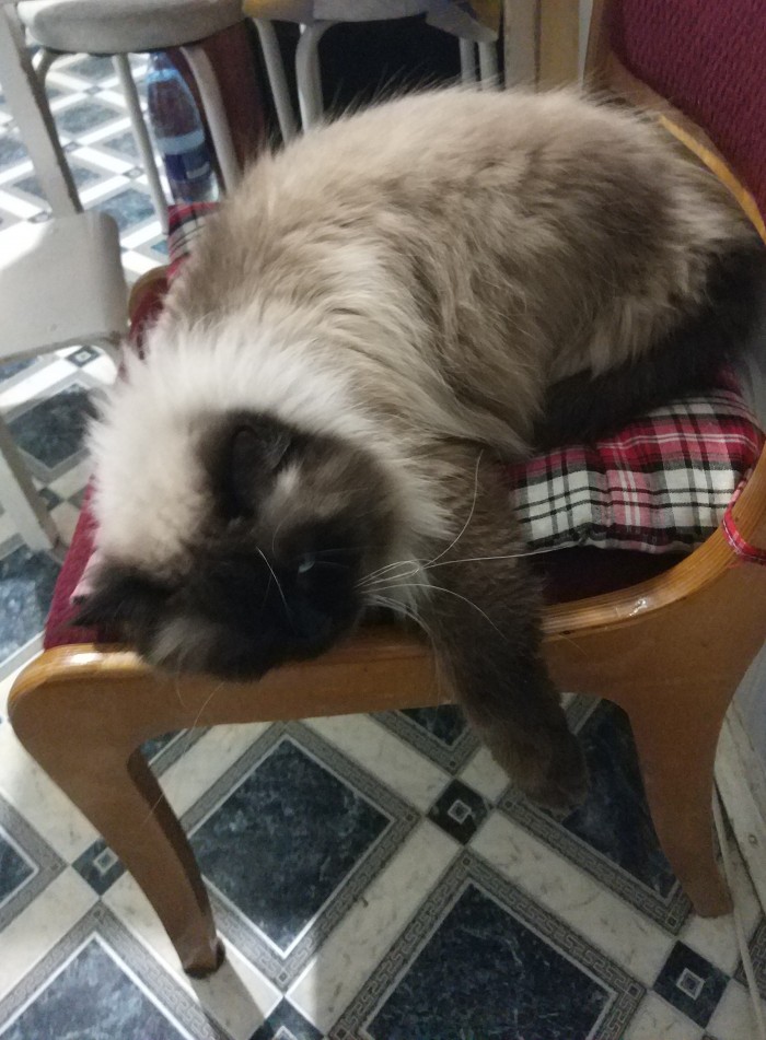 Скоро