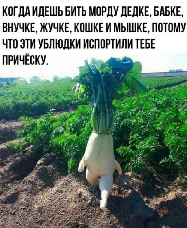 Картинки всякие