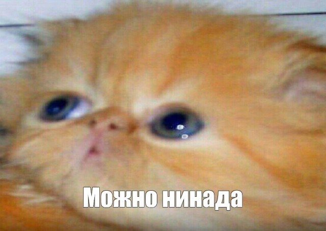 Власти подготовили план восстановления экономики из трех этапов