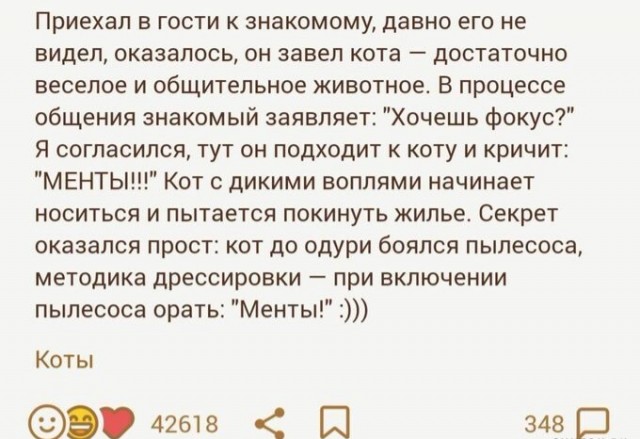 Бредзона 24.05.20