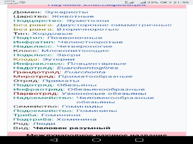 Увалень