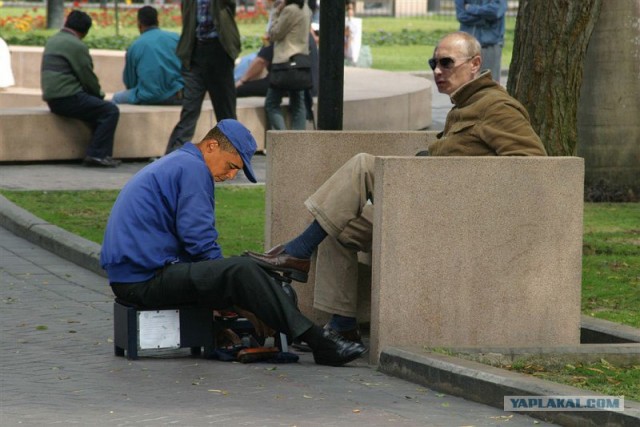 Медведев в образе