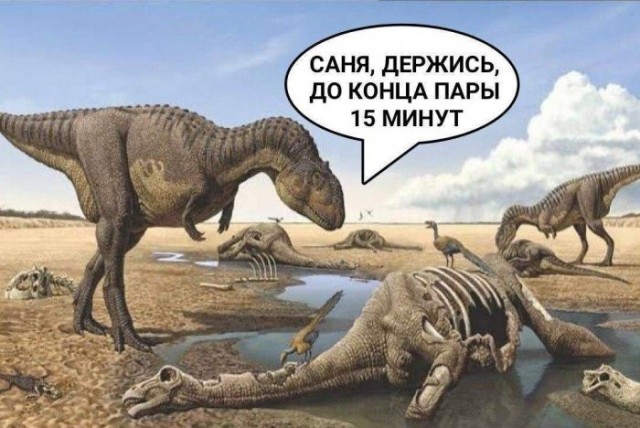 Немного картинок для настроения 24.09.20