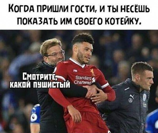 Немного картинок для настроения 10.11.20