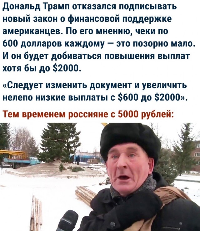 Сотня картинок для настроения 25.12.2020