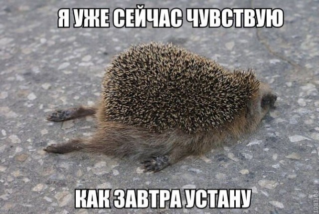 Так себе картинки 05.02.21