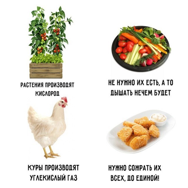 Баянисто-небаянистый юмор 3.03.21