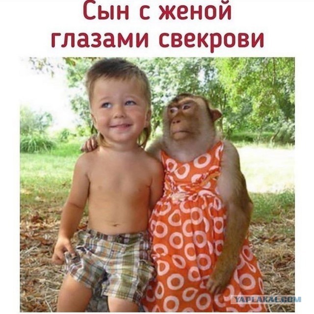 Приданое для семьи и приданое для развода