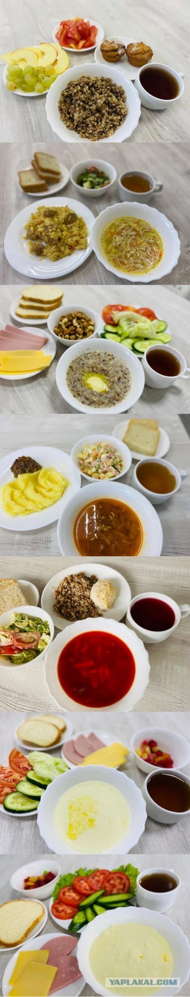 Школьные обеды в разных странах мира