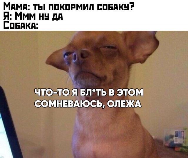 Картинки с надписями и всякие жизненные фразы 1.05.21