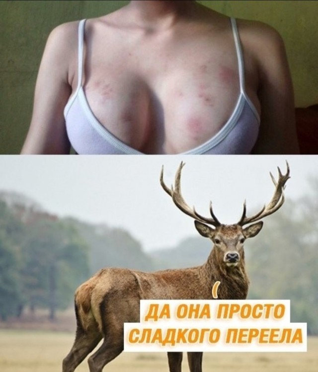 Усыновил сына жены от прошлого брака. Теперь плачу на него алименты