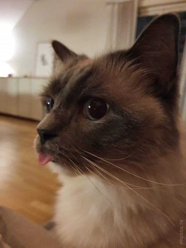 Картинки и мемы для настроения 19.05.2021