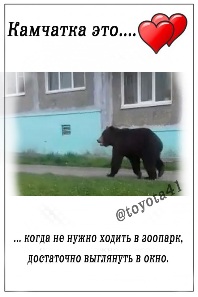 Камчатка - это...