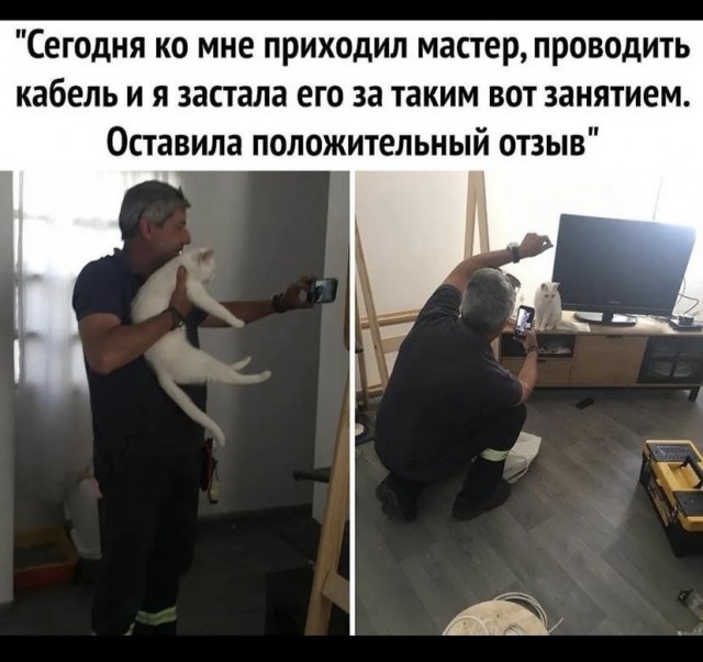 Так себе картинки 09.08.2021