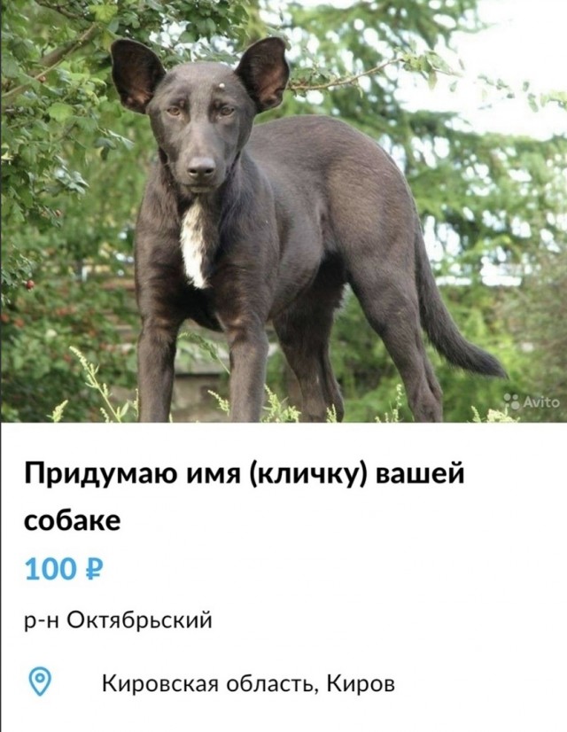 Так себе картинки 24.08.21