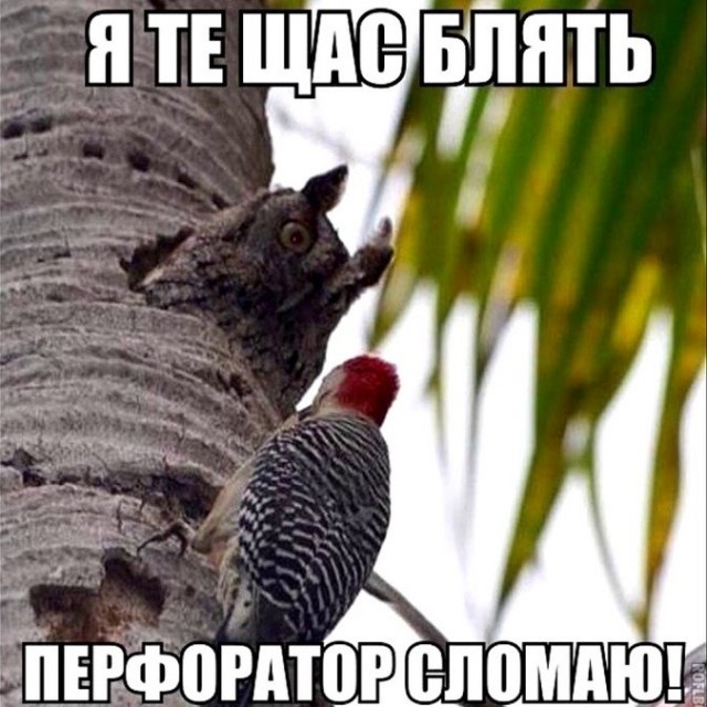 Волшебная сила объявления на входной двери