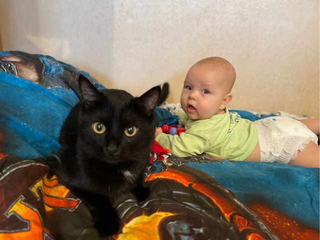 Котовторник 05.10.21 г