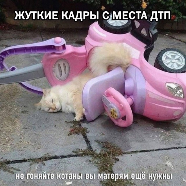 Так себе картинки 11.11.21