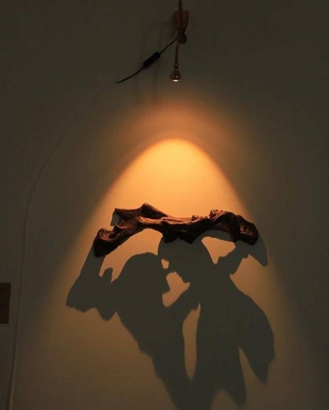 Работа с тенью или Shadow Art Installations