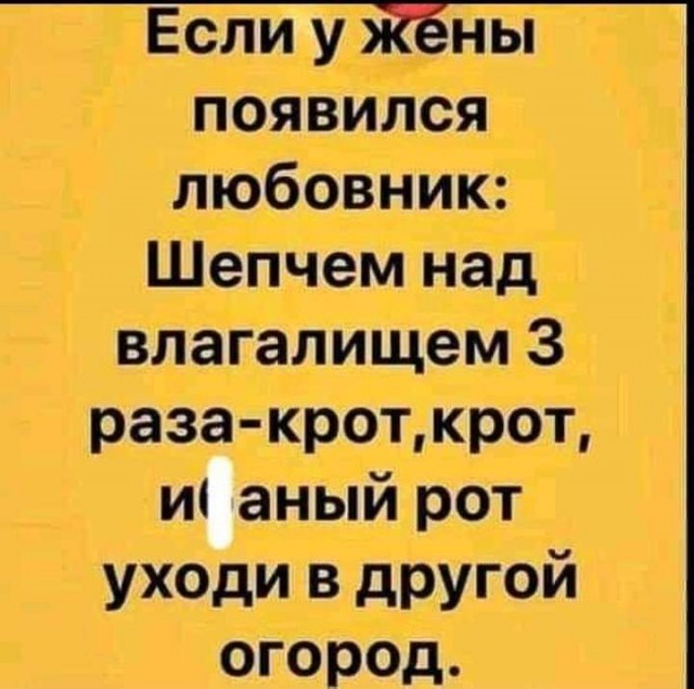 Всяческие картинки 22.12.2021