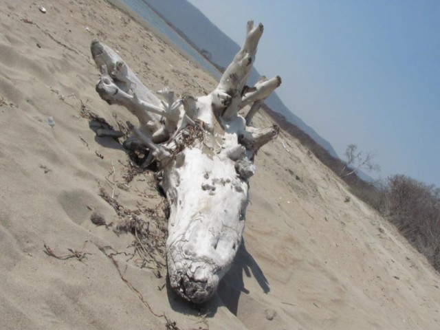 Поездка на побережье Яп.моря