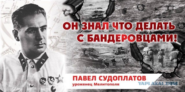 Украинские элитные десантники 79 бригады жалуются на командиров из-за которых их разгромили под Ямполем.