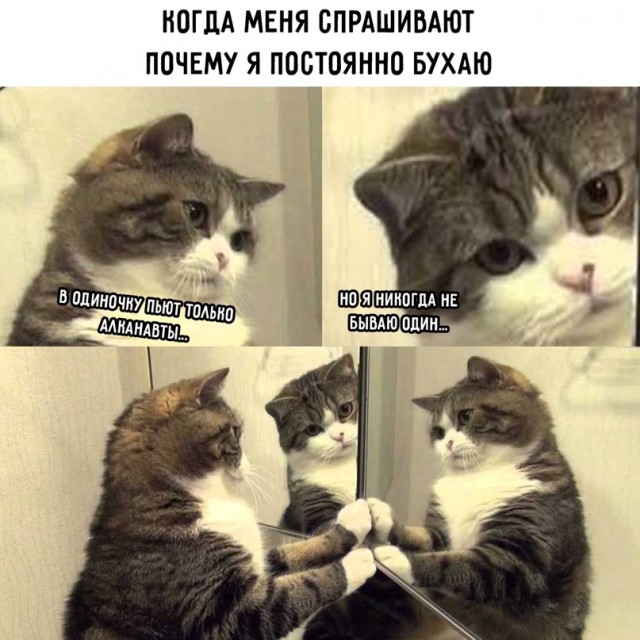 Картинки и мемы для настроения, выходные не за горами