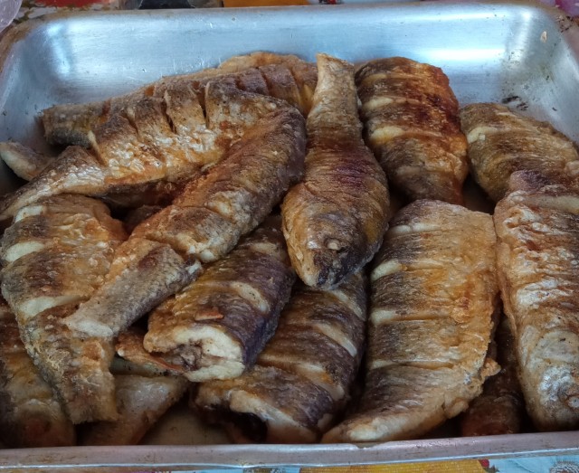 Рыбалка на карася