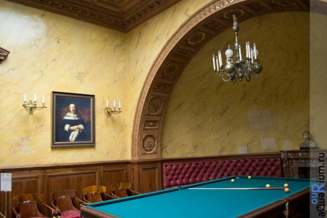 СПб глазами уставшего туриста...