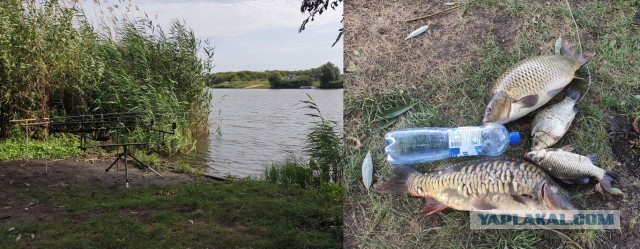 Ждет рыбов