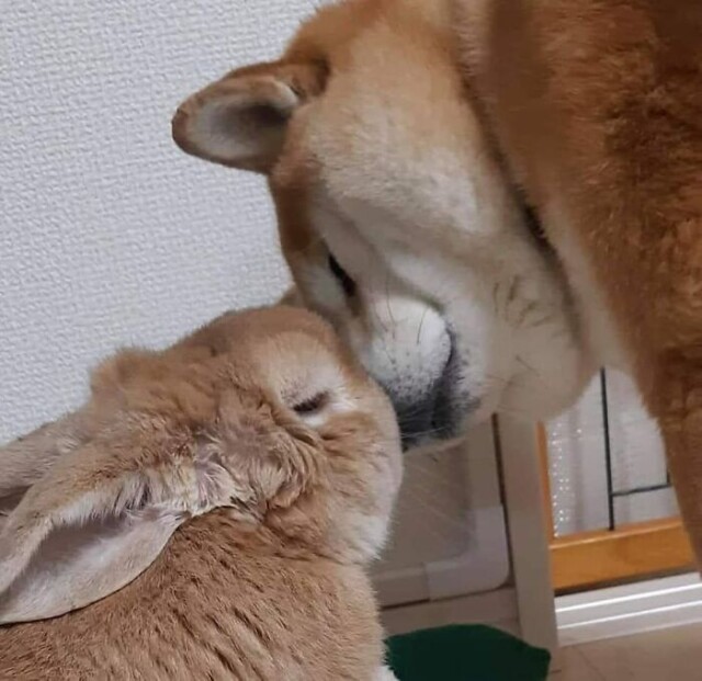 Подборка милых фото, для настроения