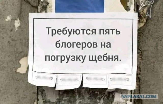 В России резко упал спрос на айтишников.