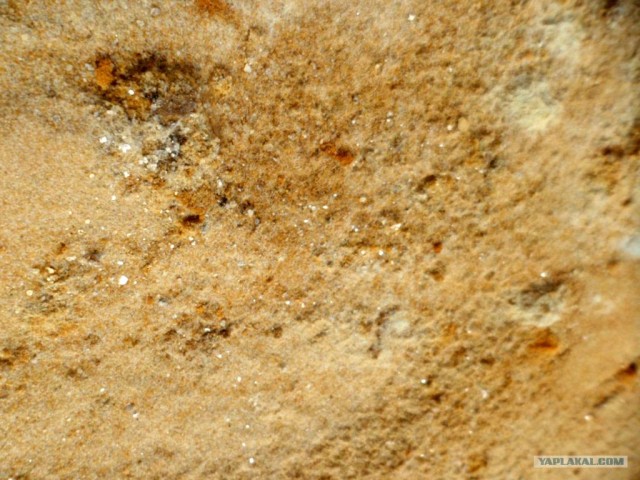 Генералы песчаного карьера