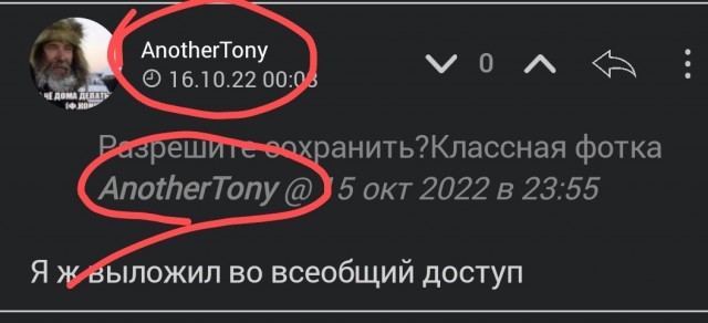 Лесной пейзаж