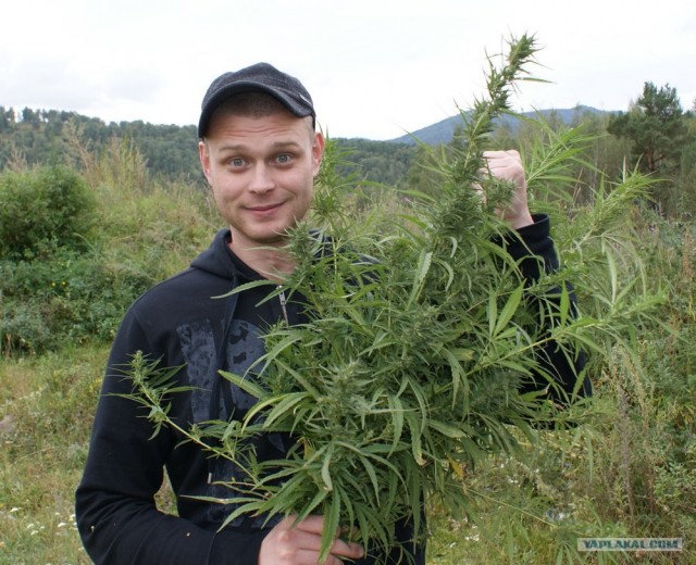 Чуток свежего воздуха