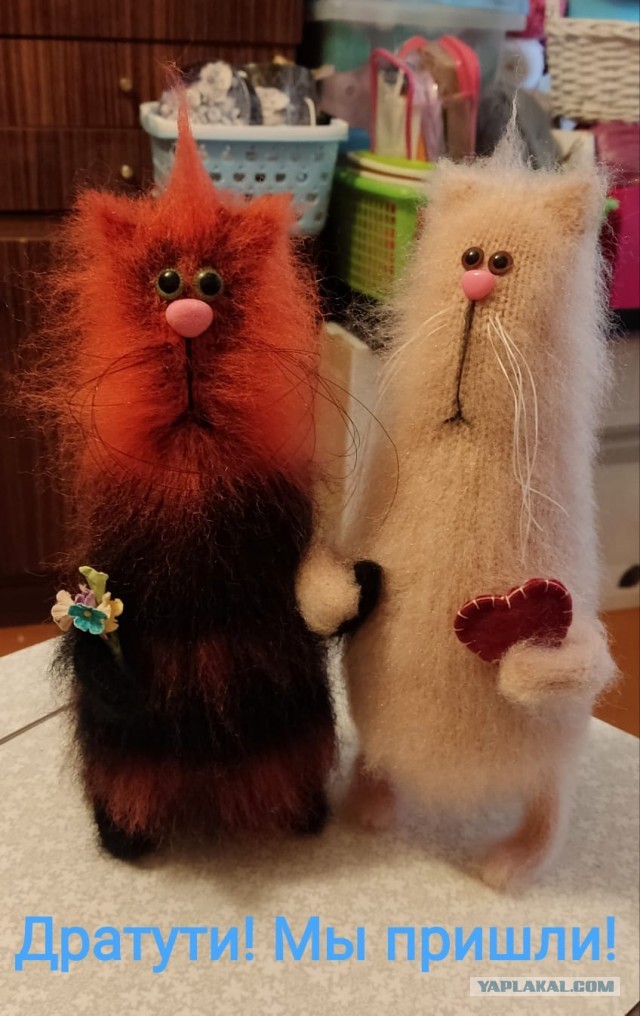 Реально ШЕРСТЯНОЙ котовторник!