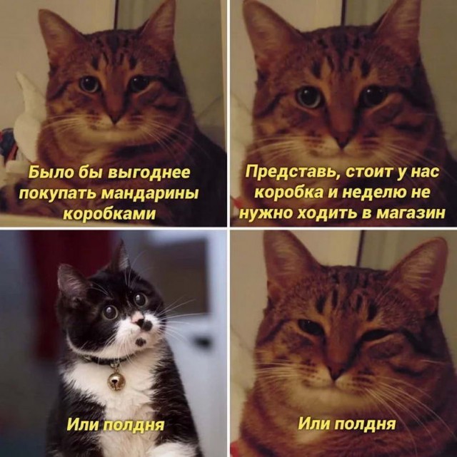 Картинки и мемы, всем хороших выходных