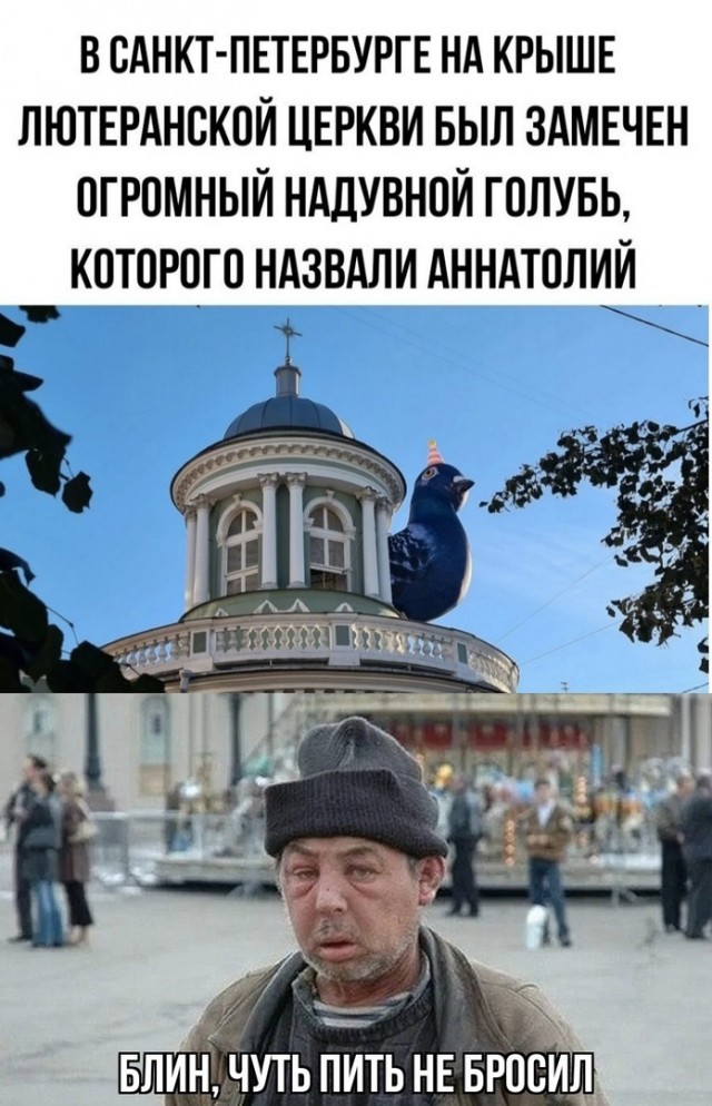 Так себе картинки 18.01.23
