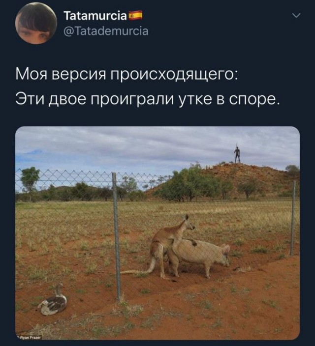 Всего понемногу. Новый выпуск.