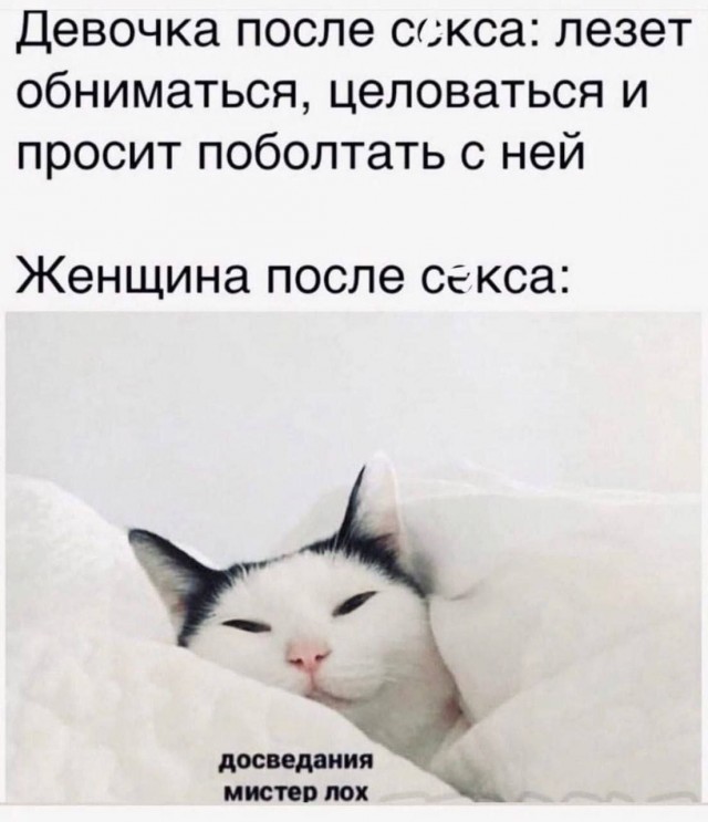 Всего понемногу. Выпуск от 13.03.