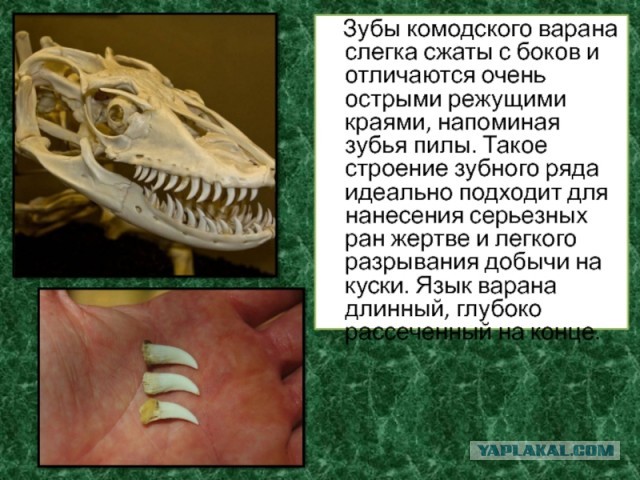 15 фото, раскрывающих природу с темной стороны, заставляя трепетать перед ее силой и грозностью