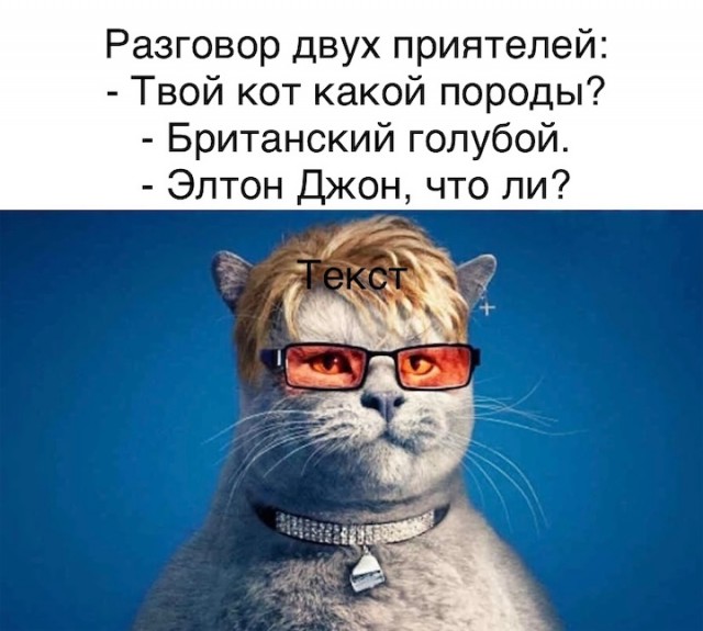 Немного картинок для настроения - 177