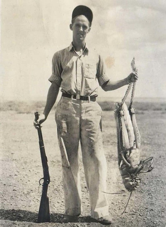 Саранча