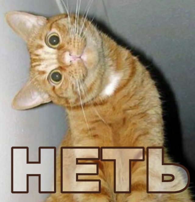 Жить по-человечески