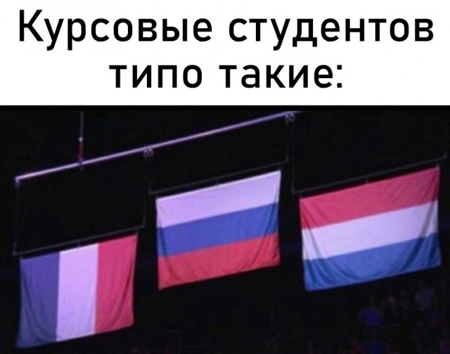 Весёлый полтишок 27.07.23