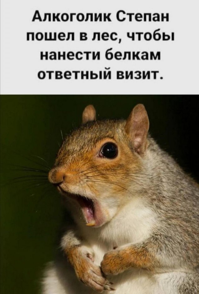 Картинки и буквы