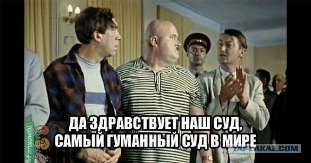 Полиция закончила проверку по избиению Никиты Журавеля сыном Рамзана Кадырова. МВД вынесло отказ в возбуждении уголовного дела